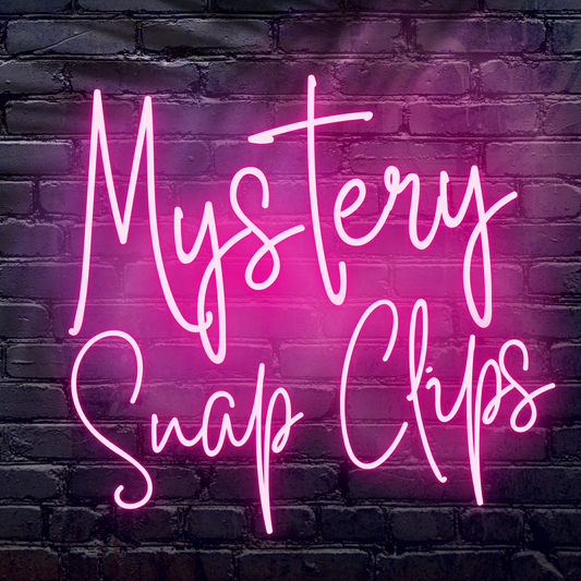 Mystery 5 Snap Clip Bundle